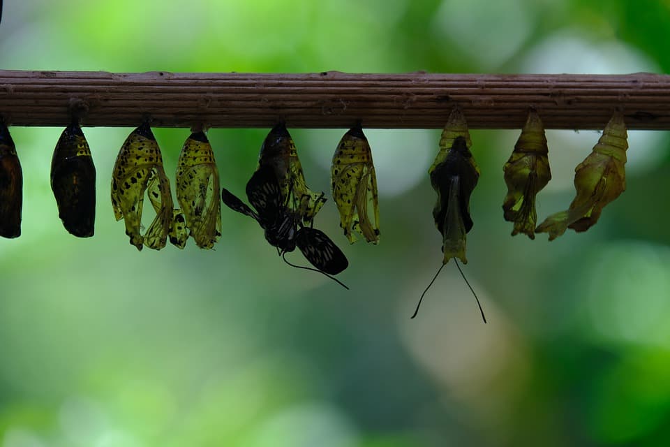 How to track changes, stay agile and sane at the same time